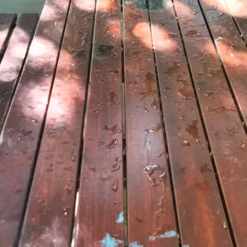 Orhangazi Şehir Parkı’nda Sürekli Çamur Sorunu Ve İlgisiz Yönetim Nedeniyle Yaşanan Mağduriyet