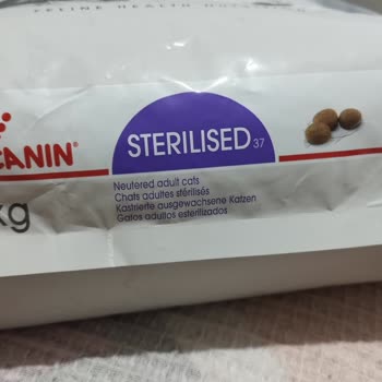 Aldığım Yaş Mama Orijinal Mi? Kedim Tüketmiyor!