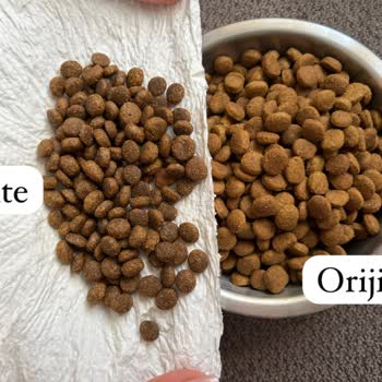 Aldığım Yaş Mama Orijinal Mi? Kedim Tüketmiyor!