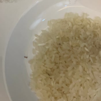 A101'den Aldığım Pirinçte Kurt Ve Böcek Çıktı, Ürün Saklama Koşulları Kötü