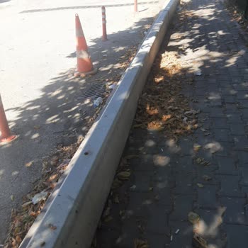 Çankaya Belediyesi Çöp Birikmesi Sorunu Ve Çevre Kirliliği!