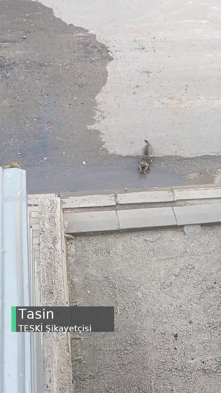 TESKİ Arıza Onarılmadı! videonun kapak resmi