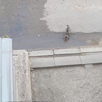 TESKİ Arıza Onarılmadı!