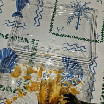 Erimiş Plastik Kapta Gelen Börek Sağlığımı Riske Attı, Çözüm Sunulmadı