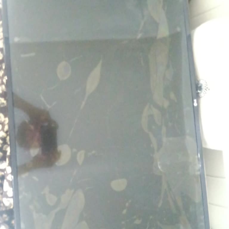 Kargom Kırık Teslim Edildi, Mağduriyetim Giderilmedi