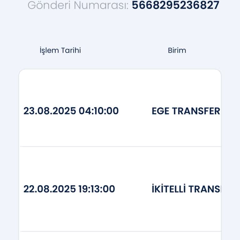 Teslim Edilmeyen Kargo Ve Çözüm Sunmayan Müşteri Hizmetleri Nedeniyle Mağduriyet