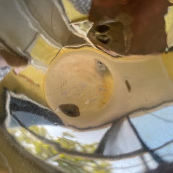 İade Ücretimin Hala Hesabıma Yatırılmaması