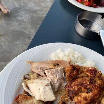 Arı Sorunu, İlgisiz Personel Ve Kötü Deneyim: Newant Olympos Resort Hayal Kırıklığı