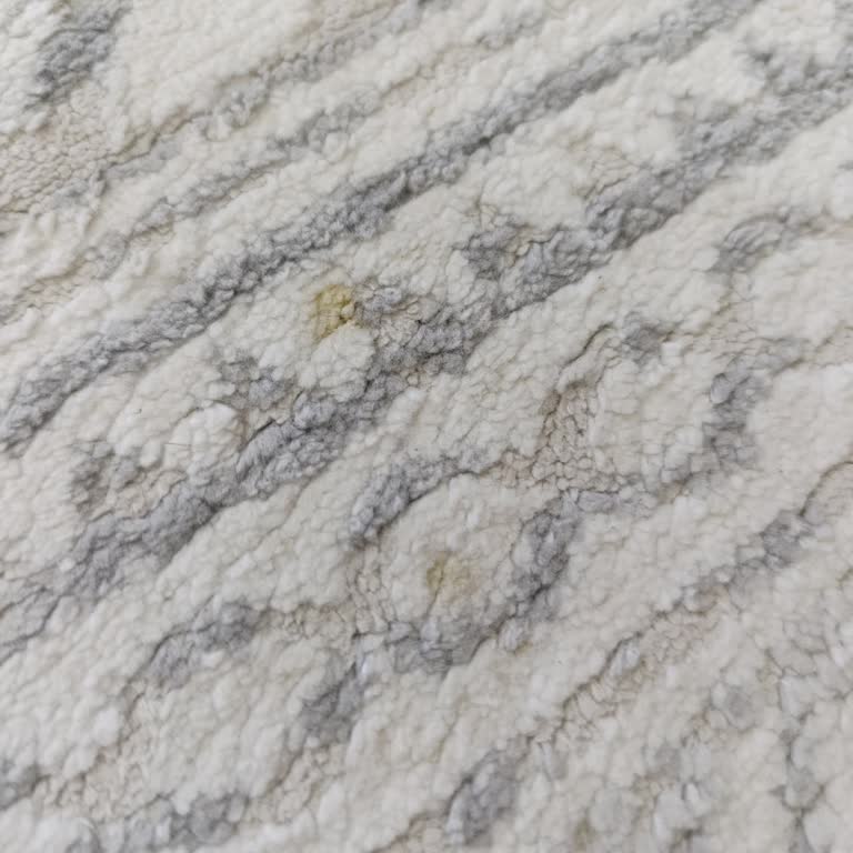 Güneşevler Halı Yıkama | Ankara Firmanın Hizmetinden Kesinlikle Memnun Kalmadım