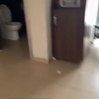 PizzaLazza Hijyen Eksikliği