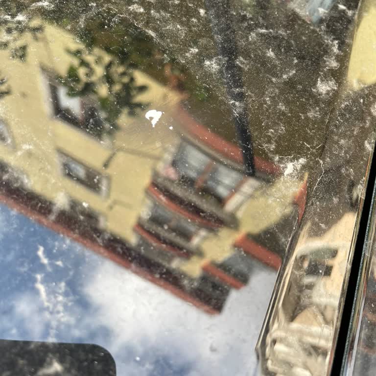 Garanti Kapsamındaki Boya Sorununa İlgisiz Yaklaşım Ve Değer Kaybı