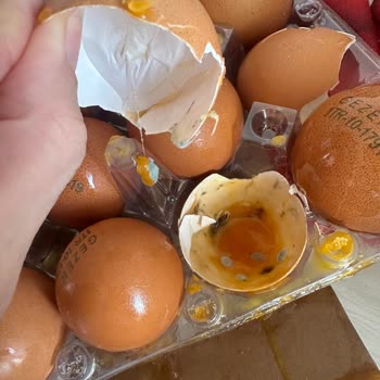 Bozuk Ve Kırık Yumurtalar İçin Ücret İadesi Talebim