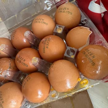 Bozuk Ve Kırık Yumurtalar İçin Ücret İadesi Talebim