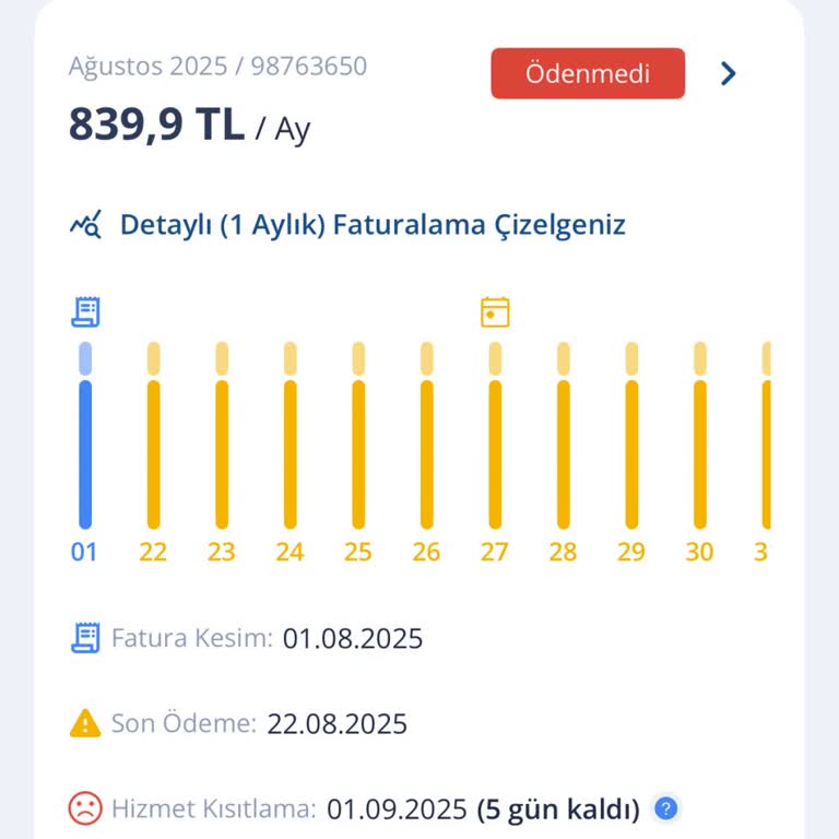 Peşin Ödeme Sonrası Beklenmedik İlk Fatura Mağduriyeti