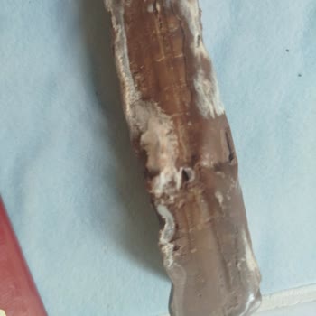 Tadelle Bozulmuş Ürün Ve İlgisiz Müşteri Hizmeti Güvenimi Zedeledi