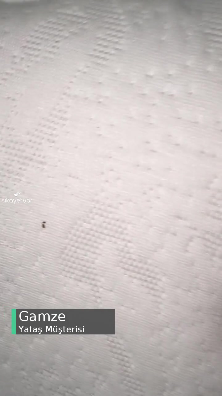 Yataş Bedding Böceklenme Sorunu videonun kapak resmi