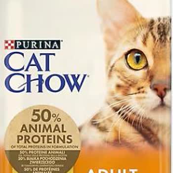 Bozuk Kedi Maması İade Edilmedi, Para İadesi Yapılmıyor