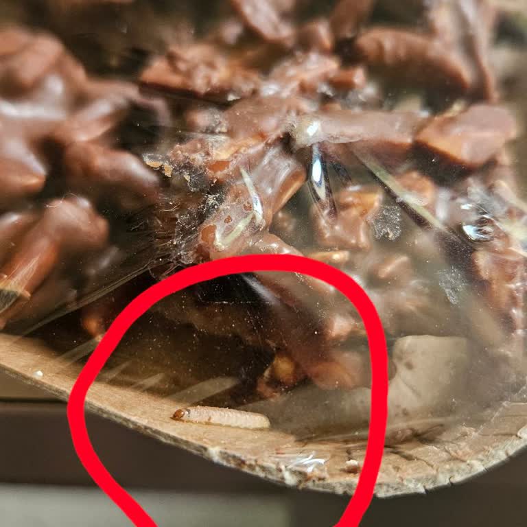 Çikolatalı Bademin İçinden Kurt Çıkması Nedeniyle Sağlık Ve Güven Sorunu