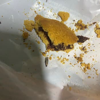 Paketli Kurabiye İçinden Yabancı Madde Çıkması Hakkında Şikayet