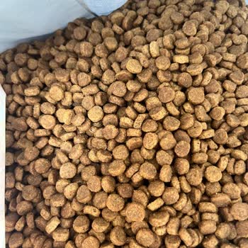 Kedim Mamasını Yemedi, Satıcıdan Destek Alamıyorum!