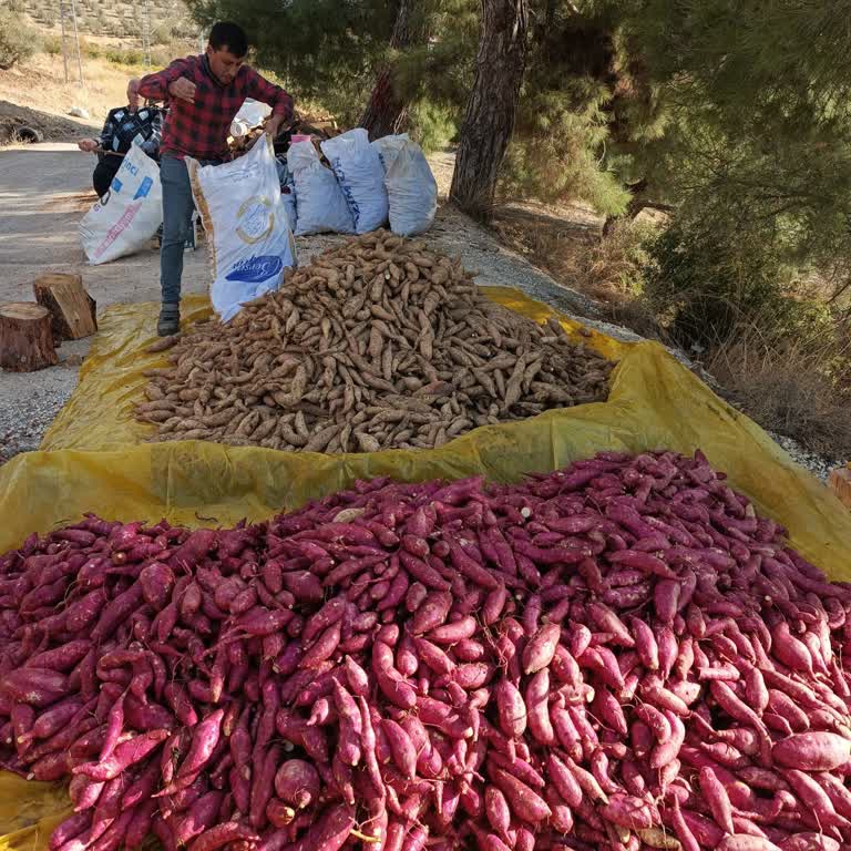 İlan Onayında Çifte Standart Ve Haksız Reddi Şikayeti