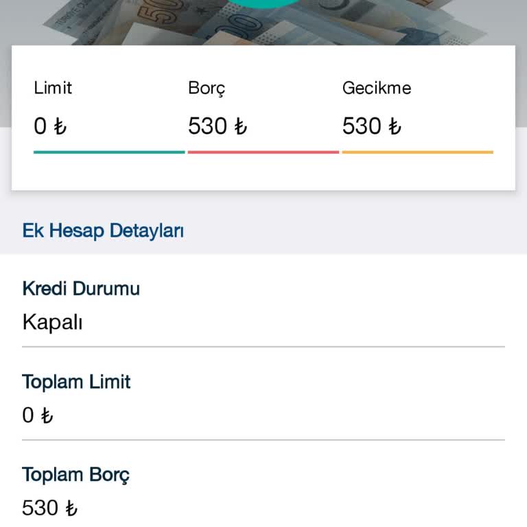 Kredili Mevduat Hesabı Borcu Nedeniyle Kredi Ve Kart Başvurularım Reddediliyor, Sorunum Çözülmüyor