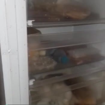 Uğur Derin Dondurucunun Hali!