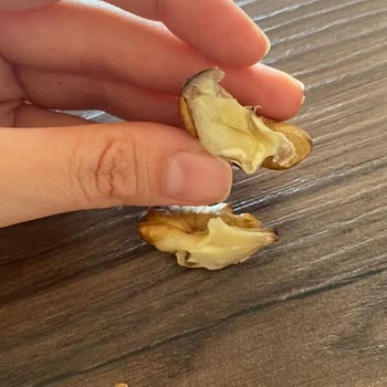 Taze Diye Aldığım Ceviz Bayat Çıktı, İade Ve Çözüm Bekliyorum