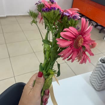 Siparişim Taze Ve Beklendiği Gibi Teslim Edilmedi, Müşteri Hizmetlerinden Çözüm Alamadım