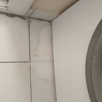 Altus AL8100 Çamaşır Makinesi Deterjan Haznesi Sorunu 4 Yıldır Çözülemiyor