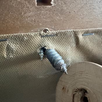 Kırık Koltuk Ayağı Sorunu Aylarca Giderilmedi, Mağdur Edildik!