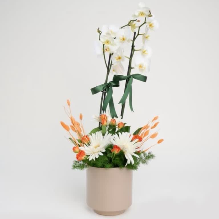 Teslimat Sorunu Nedeniyle Hediye Kayboldu, Mağduriyetim Giderilsin!