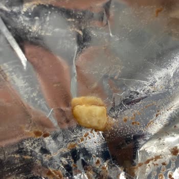 Çikolata İçerisinde Yabancı Madde İle Karşılaşılması Ve Sağlık Endişesi