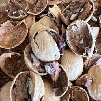 Cergibozanlar Marketler Zinciri Aldığım Cevizlerin Kurtlu Ve Çürük Çıkması