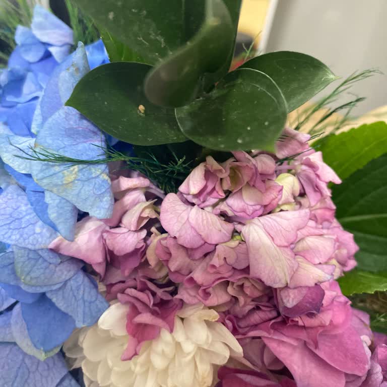 Aynı Firmadan İki Kez Solmuş Çiçek Teslimatı