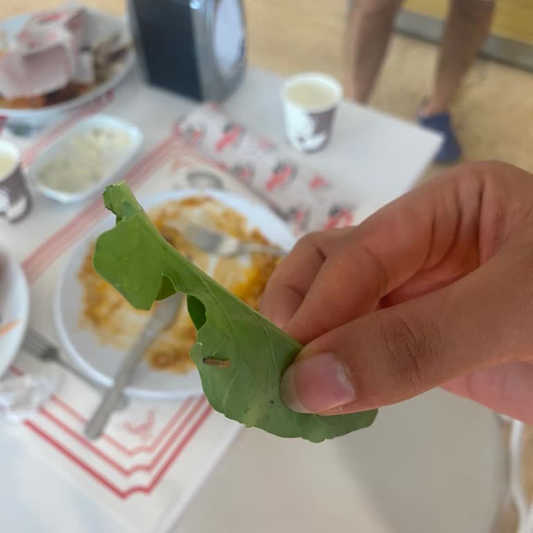 Charm Beach Hotel Hijyen, Hizmet ve İade Sorunlarıyla Mağduriyet Yaşadık