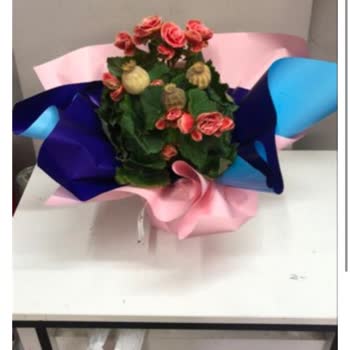 Siparişimde Solmuş Ve Yanlış Çiçek Gönderildi, Müşteri Hizmetleri İlgisiz Kaldı