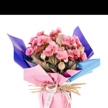 Siparişimde Solmuş Ve Yanlış Çiçek Gönderildi, Müşteri Hizmetleri İlgisiz Kaldı