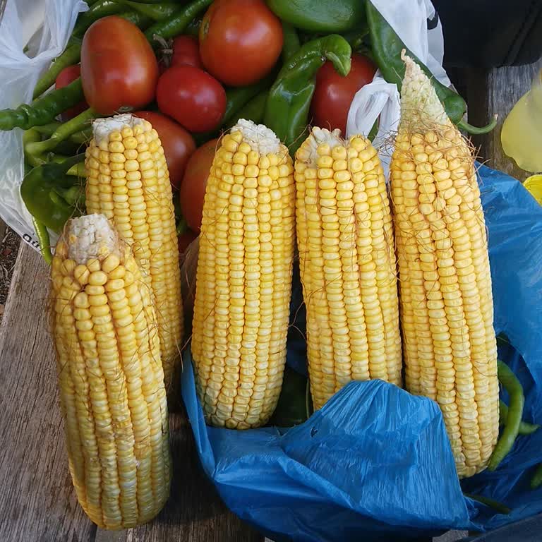 İnternet Taşıma İşlemi Haftalardır Tamamlanmadı, Mağduriyet Yaşıyorum