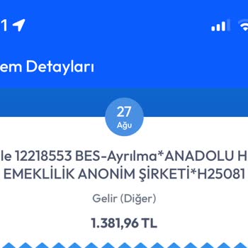 BES İptali Sonrası Birikimimin Büyük Kısmı Kesildi, Mağduriyetimin Giderilmesini Talep Ediyorum