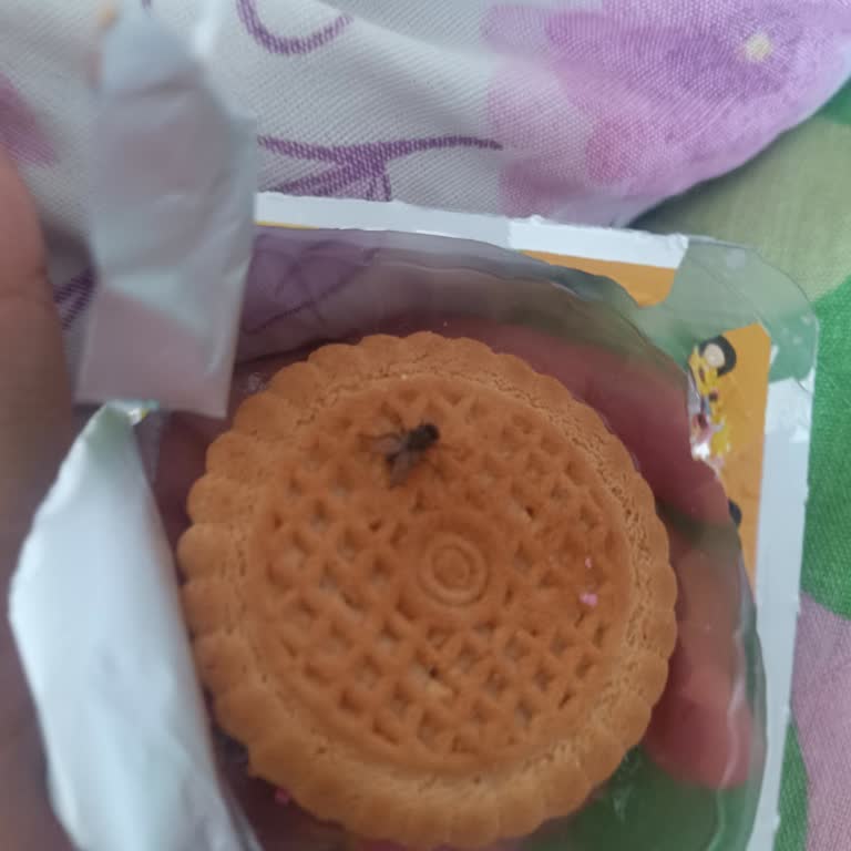 Aldığım Xroll Pofuduk Ürününden Sinek Çıktı: Hijyen Sorunu Yaşadık