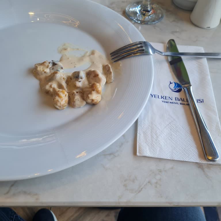 Yelken Balıkçısı (Gebze) Mantar Soslu Levrek Siparişim Eksik Teslim Edildi