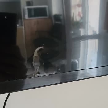 Kargoda Kırılan Televizyonum İçin Sorumluluk Alınmıyor, Mağduriyetim Giderilmiyor