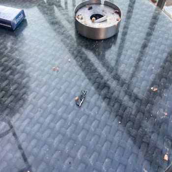 Duja Didim Otel'de Beklentilerin Altında Hizmet Ve Eksik Telafi