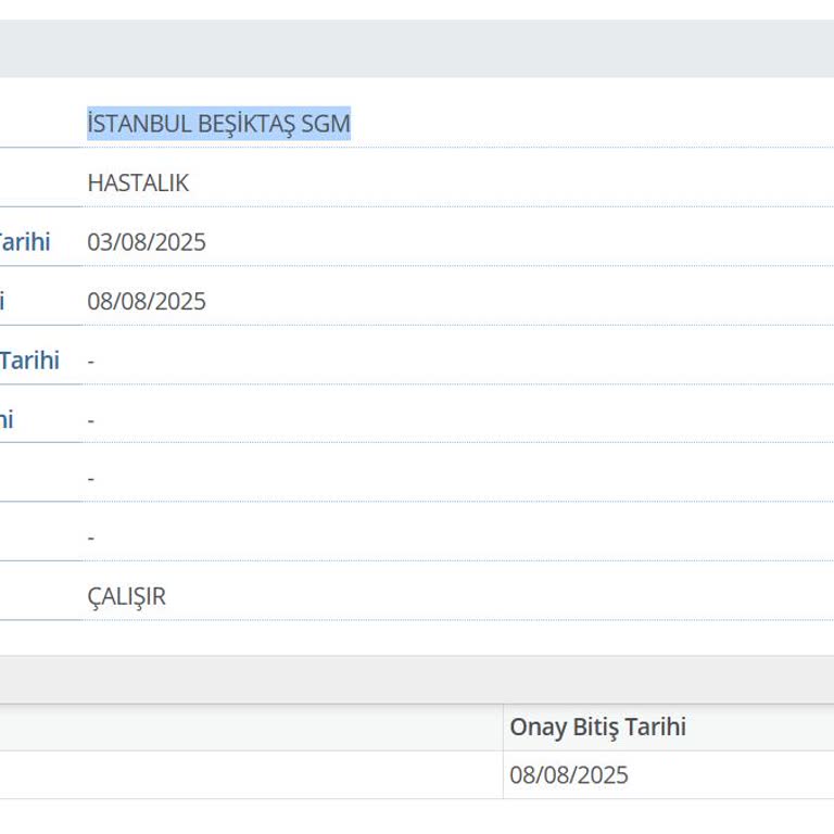 SGK İşgöremezlik Ödemem Yapılmadı, Bilgiye Ulaşamıyorum