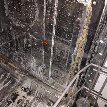 Beko BM 5005 Bulaşık Makinesinde Pas Ve Küf Sorunu, Ürün Değişimi Talebi