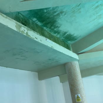 Ancere Thermal Hotel Havuzun Hijyen Koşulları Son Derece Kötüydü