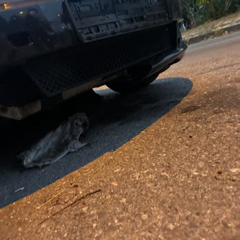 Otoyolda Güvenlik Zafiyeti Nedeniyle Kaza Ve Maddi Zarar