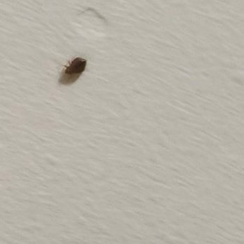 Çankırı KYK Erkek Öğrenci Yurdu’nda Hijyen ve Barınma Sorunları Öğrencileri Mağdur Ediyor