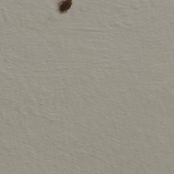 Çankırı KYK Erkek Öğrenci Yurdu’nda Hijyen ve Barınma Sorunları Öğrencileri Mağdur Ediyor